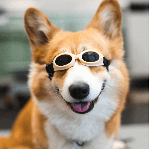 Laser Therapy